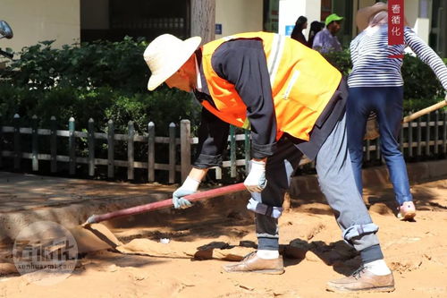 城管局開展淤泥清理和街道清洗活動