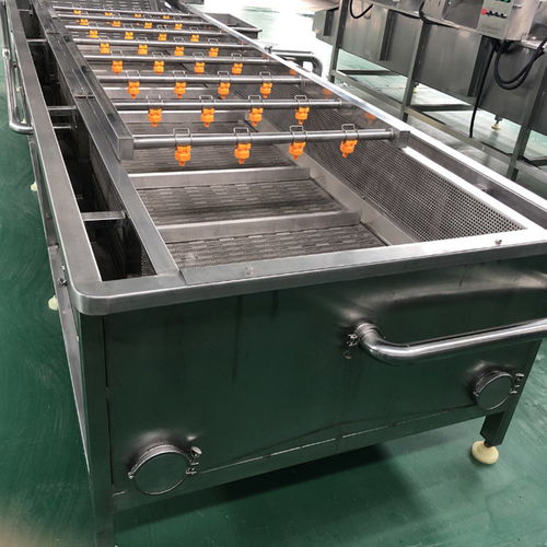 那曲地區(qū)豆角清洗機(jī),諸城洗刷刷機(jī)械,優(yōu)質(zhì)豆角清洗機(jī)