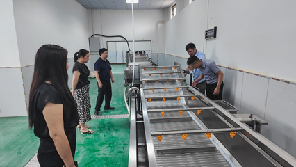 崇陽:鄉(xiāng)村工坊 讓農(nóng)產(chǎn)品從田間走向廣闊市場(chǎng)