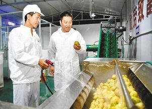 鎮(zhèn)坪 自愿留基層扶貧干部掠影