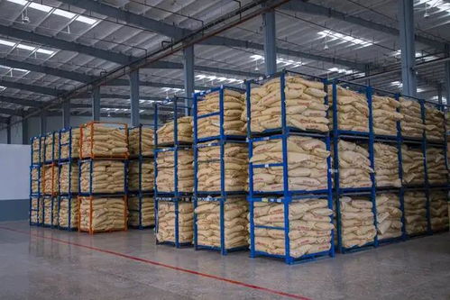 湖北省委書記一行考察卓寶石首生產基地，聚焦建筑材料產業高質量發展